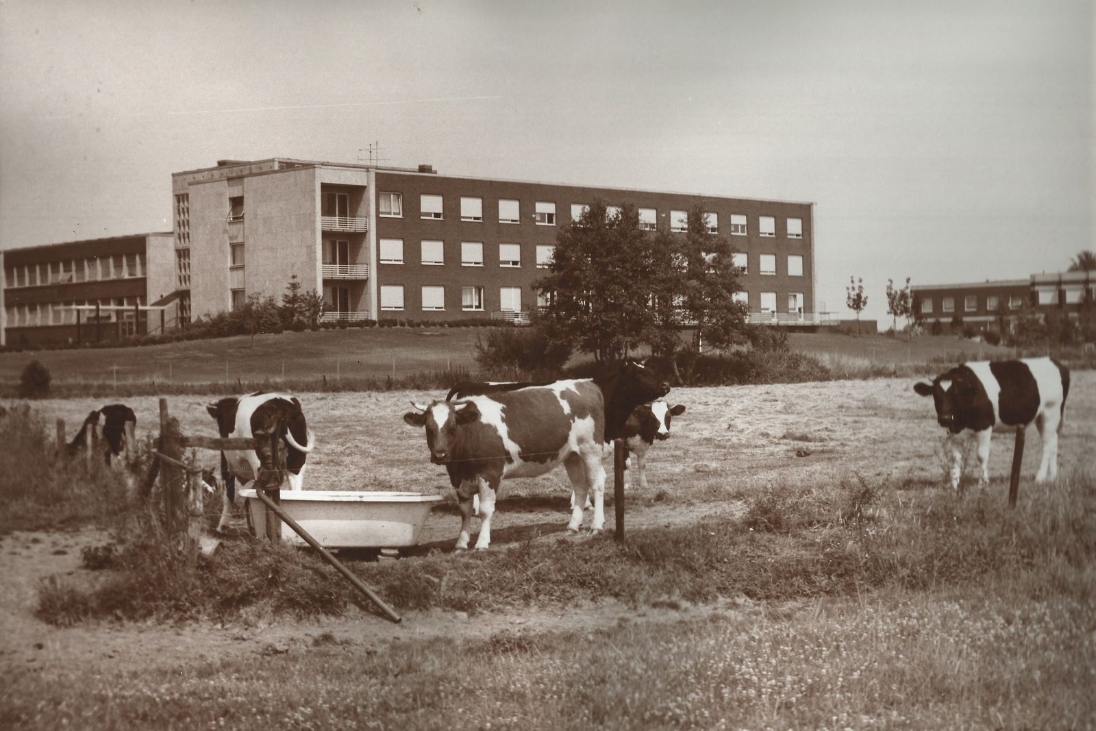 Der Neubau des Augustahospitals ca. 1967